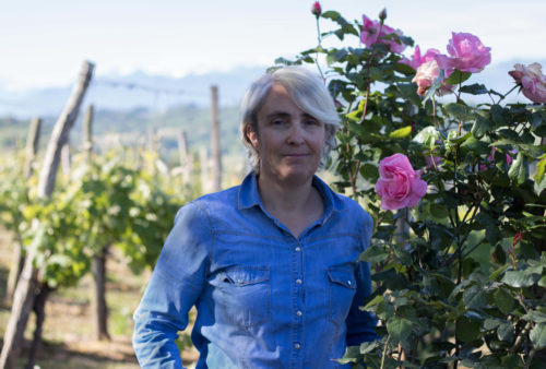 Original, team building, déjeuner original, pique nique, incentive, excursion, vignes, vin, escape game géant