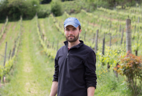 Soupçons en Jurançon