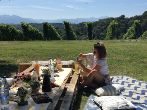 Original, team building, déjeuner original, pique nique, incentive, excursion, vignes, vin, escape game géant, Pau, Pyrénées