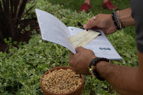 Soupçons en Jurançon enquête