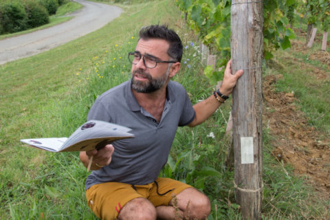 Teambuilding Soupçons en Jurançon