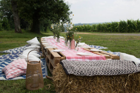 Original, team building, déjeuner original, pique nique, incentive, excursion, vignes, vin, escape game géant