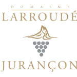 Original, team building, déjeuner original, pique nique, incentive, excursion, vignes, vin, escape game géant, Pau