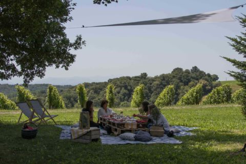 Soupçons en Jurançon, enquête à déguster